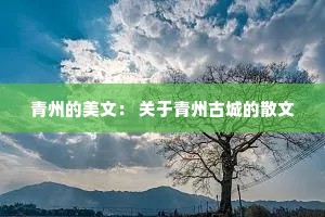 青州的美文： 关于青州古城的散文